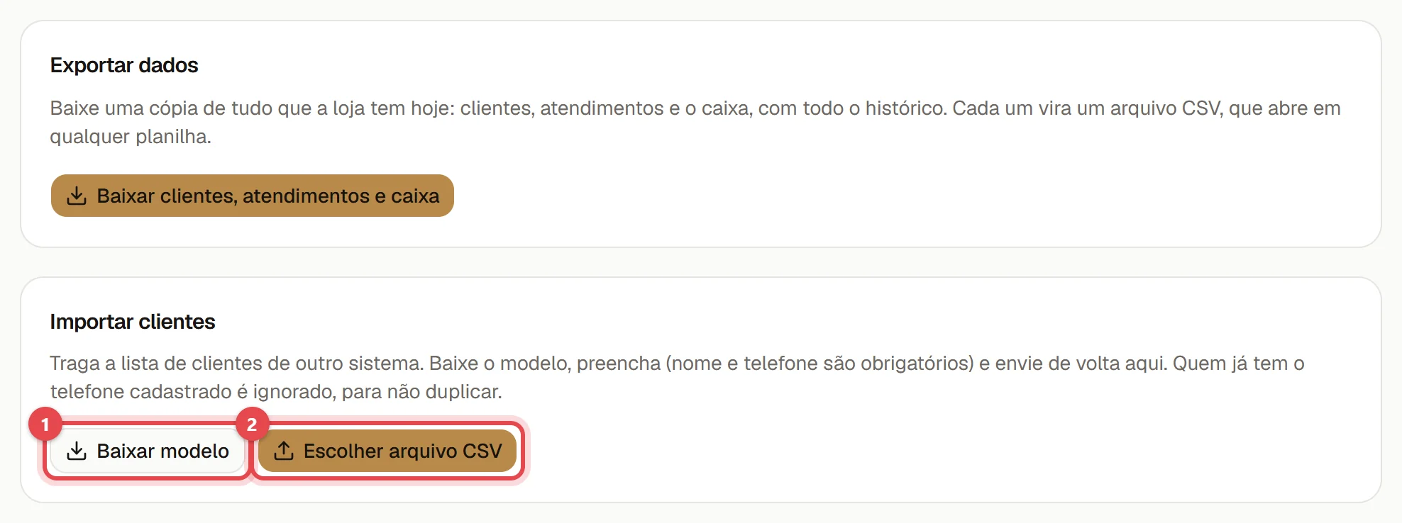 Aba Dados das Configurações, com o bloco Importar clientes e os botões Baixar modelo e Escolher arquivo CSV.